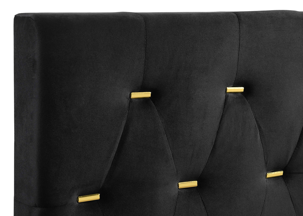 Kendall Upholstered Queen Panel Bed Black